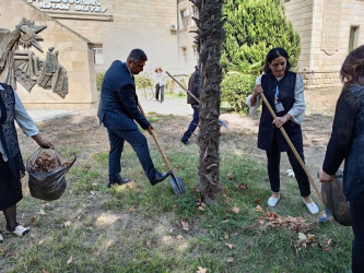 Goranboyda  "Yaşıl dünya naminə həmrəylik ili" ilə bağlı tədbirlər davam etdirilir.