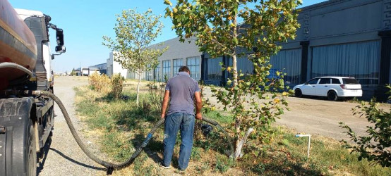 Goranboyda yeni salınmış yaşıllıq zolaqlarına aqrotexniki qulluq işləri davam etdirilir. Bu məqsədlə, ağacların növbəti suvarılması işləri görülür.