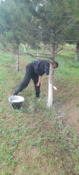 Goranboyda “Şəhərsalma və Memarlıq İli” və beynəlxalq velosiped yarışına hazırlıq işləri çərçivəsində ümumrayon iməcliyi davam etdirilir