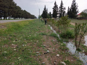 Goranboyda növbəti iməcilik keçirildi,  yolətrafı ərazilərdə abadlıq, təmizlik işləri aparıldı, yeni salınmış yaşıllıq zolaqlarına aqrotexniki qulluq göstərildi