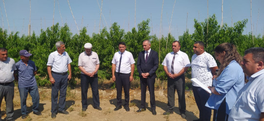 Goranboyda müasir suvarma sistemlərinin tətbiqi və genişləndirilməsi istiqamətində fermer və sahibkarlarla maarifləndirici görüş keçirildi