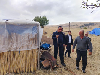 Goranboyda İcra Başçısı və deputat Gülüstan yaylağına köç etmiş qoyunçuluq təsərrüfatlarında oldular