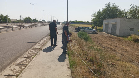 Goranboyda yeni salınmış yaşıllıq zolaqlarına aqrotexniki qulluq işləri davam etdirilir
