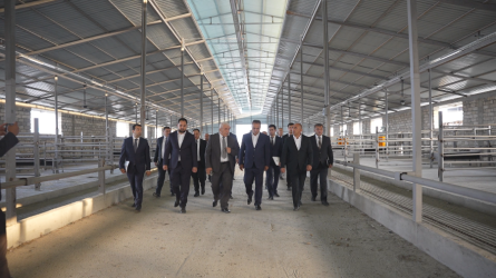Goranboyda “2026–2030-cu illər üçün Dövlət Proqramı”-nın icrası uğurlu davam edir