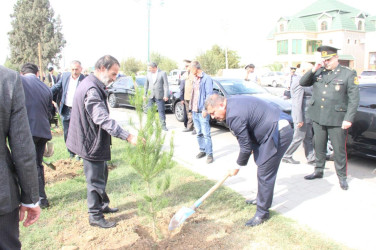 Goranboyda, “27 sentyabr – Anım Günü” ilə bağlı ağacəkmə aksiyası keçirildi.