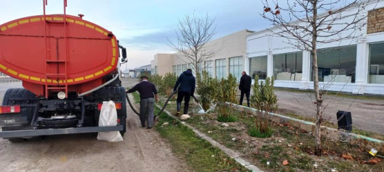 Goranboyda yeni salınmış yaşıllıq zolaqlarına aqrotexniki qulluq işləri davam etdirilir