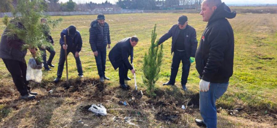 Goranboyda “Şəhərsalma və Memarlıq İli” çərçivəsində ağacəkmə aksiyası keçirildi
