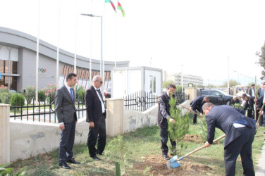 Goranboyda, “27 sentyabr – Anım Günü” ilə bağlı ağacəkmə aksiyası keçirildi.