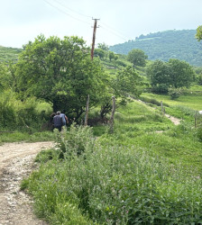 Goranboy rayonunda "Şəhərsalma və Memarlıq ili" çərçivəsində qanunsuz zəbt hallarının aradan qaldırılması istiqamətində həyata keçirilən tədbirlər davam etdirilir.