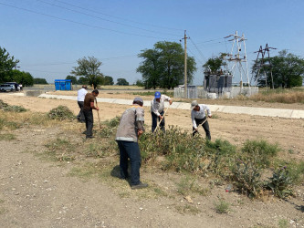 Goranboyda növbəti ümümrayon iməciliyi keçirildi