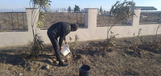 Goranboyda, "Yaşıl dünya naminə həmrəylik ili" ilə bağlı, yeni salınmış yaşıllıq zolaqlarına aqrotexniki qulluq işləri davam etdirilir.