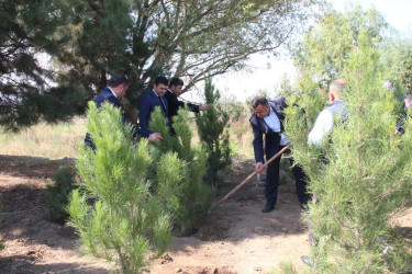 Goranboyda  “27 sentyabr –Anım Günü” ilə bağlı ağacəkmə aksiyası keçirildi