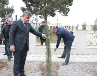 Goranboyda “08 noyabr –Zəfər Günü” ilə bağlı növbəti ağacəkmə aksiyası keçirildi