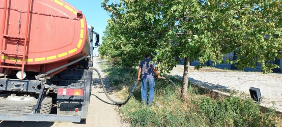 Goranboyda yeni salınmış yaşıllıq zolaqlarına aqrotexniki qulluq işləri davam etdirilir. Bu məqsədlə, ağacların növbəti suvarılması işləri görülür.