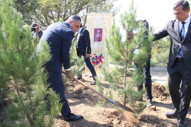 Goranboyda  “27 sentyabr –Anım Günü” ilə bağlı ağacəkmə aksiyası keçirildi