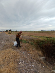Goranboyda yol kənarında ağaclar suvarıldı, məişət tullantıları təmizləndi