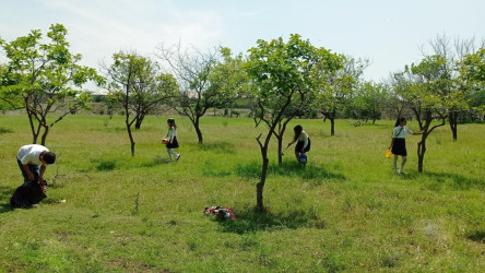 "Yaşıl dünya naminə həmrəylik ili" ilə bağlı Səfikürd kənd tam orta məktəbində tədbir keçirildi