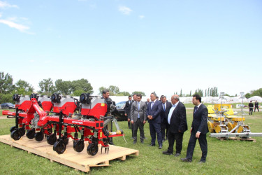 Goranboyda tütünçülüyün inkişafına əlverişli şərait yaradılıb