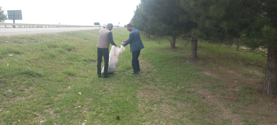 Goranboyda növbəti iməcilik keçirildi,  yolətrafı ərazilərdə abadlıq, təmizlik işləri aparıldı, yeni salınmış yaşıllıq zolaqlarına aqrotexniki qulluq göstərildi
