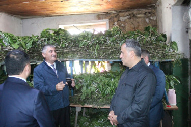 Goranboyda kümçülük təsərrüfatına baxış keçirildi