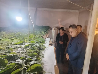 Goranboyda baramanın saxlanma və inkişaf vəziyyəti qənaətbəxşdir