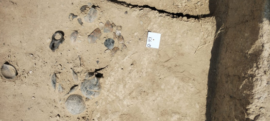 Goranboyda “Şəhərsalma və Memarlıq ili” çərçivəsində növbəti arxeoloji qazıntılar aparılır