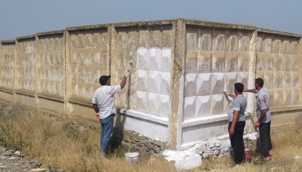 Goranboyda növbəti ümümrayon iməciliyi keçirildi