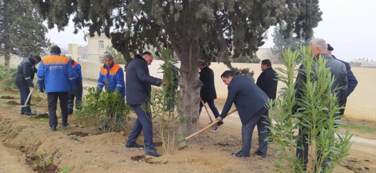 Goranboyda,  Ümummilli Liderimiz Heydər Əliyevin Anım Günü ilə bağlı,  ağacəkmə aksiyası keçirildi