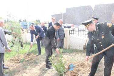 Goranboyda, “27 sentyabr – Anım Günü” ilə bağlı ağacəkmə aksiyası keçirildi.