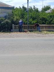 Goranboyda genişmiqyaslı abadlıq və yenidənqurma işləri davam etdirilir