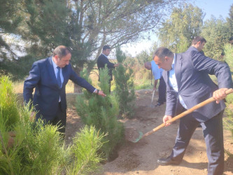 Goranboyda  “27 sentyabr –Anım Günü” ilə bağlı ağacəkmə aksiyası keçirildi