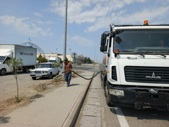 Goranboyda yolkənarı ərazilərin məişət tullantılarından təmizlənməsi işləri aparıldı, ağac və gül kolları suvarıldı