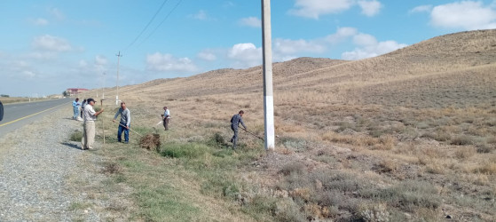 Goranboyda əsas turizm marşurutları üzrə yolkənarı ərazilərdə növbəti ümumrayon iməciliyi təşkil olundu