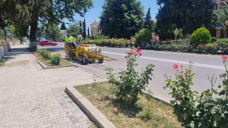 Goranboyda aparılan genişmiqyaslı abadlıq və yenidənqurma işləri rayonumuzun simasını daha da gözəlləşdirir