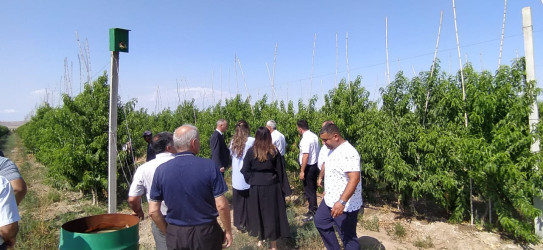 Goranboyda müasir suvarma sistemlərinin tətbiqi və genişləndirilməsi istiqamətində fermer və sahibkarlarla maarifləndirici görüş keçirildi