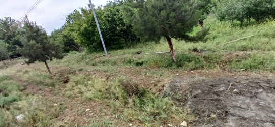 Goranboy bələdiyyəsi mülkiyyətinə məxsus olan örüş otlaq sahəsinin qanunsuz çəpərlənməsi halının qarşısı alındı