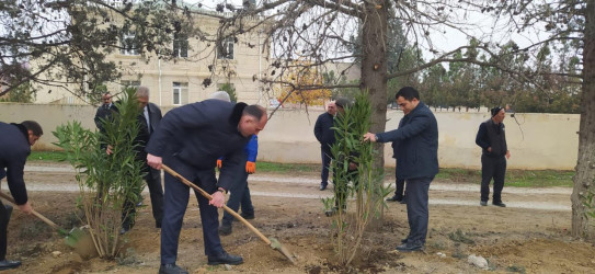 Goranboyda,  Ümummilli Liderimiz Heydər Əliyevin Anım Günü ilə bağlı,  ağacəkmə aksiyası keçirildi