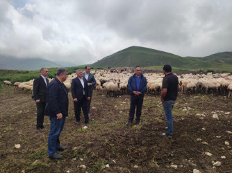 Goranboyda İcra Başçısı  Kəpəz  yaylağına köç etmiş qoyunçuluq təsərrüfatlarında oldu.