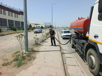 Goranboyda “Şəhərsalma və Memarlıq ili “ çərçivəsində yol kənarlarında əkilmiş ağaclara aqrotexniki qulluq göstərilir və suvarılma işləri aparılır