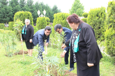 Goranboyda Ümummilli Liderimiz Heydər Əliyevin anadan olmasının 101-ci ildönümü ilə bağlı, 101 ədəd ağac əkildi.