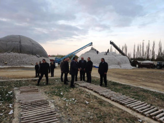 Goranboyda cari məhsul ili üçün pambıq yığımı uğurla aparılır