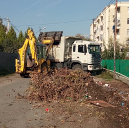 Goranboy şəhəri ərazisində təmizlik işləri aparıldı
