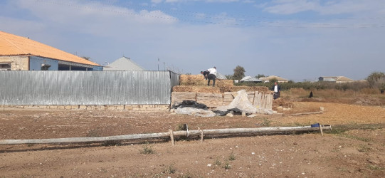 Goranboy rayonunda əsas turizm marşurutları üzrə yolkənarı ərazilərdə ümumrayon iməciliyi təşkil olundu, təmizlik, abadlıq işləri aparıldı.