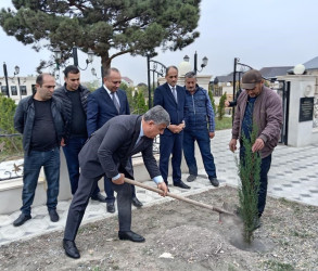 Goranboyda “08 noyabr –Zəfər Günü” ilə bağlı növbəti ağacəkmə aksiyası keçirildi