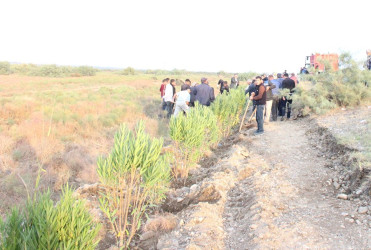 Goranboyda, "Yaşıl dünya naminə həmrəylik ili" çərçivəsində, yolkənarı ərazilərin abadlaşdırılması məqsədi ilə həyata keçirilən ağac əkini işləri davam etdirilir.