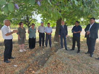 İcra Başçısının səyyar qəbulunda olunan müraciətlər yerində araşdırılaraq həll olundu