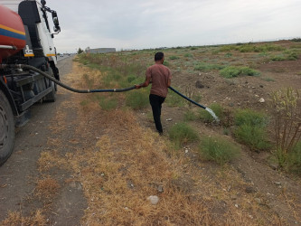 Goranboyda yol kənarında ağaclar suvarıldı, məişət tullantıları təmizləndi