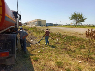 Goranboyda yeni salınmış yaşıllıq zolaqlarına aqrotexniki qulluq işləri davam etdirilir. Bu məqsədlə, ağacların növbəti suvarılması işləri görülür.