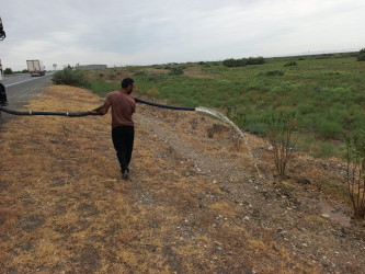 Goranboyda yol kənarında ağaclar suvarıldı, məişət tullantıları təmizləndi