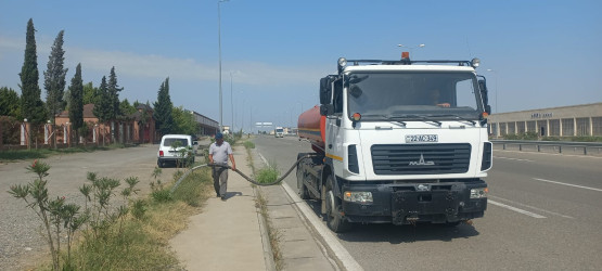 Goranboyda “Şəhərsalma və Memarlıq ili “ çərçivəsində yol kənarlarında əkilmiş ağaclara aqrotexniki qulluq göstərilir və suvarılma işləri aparılır